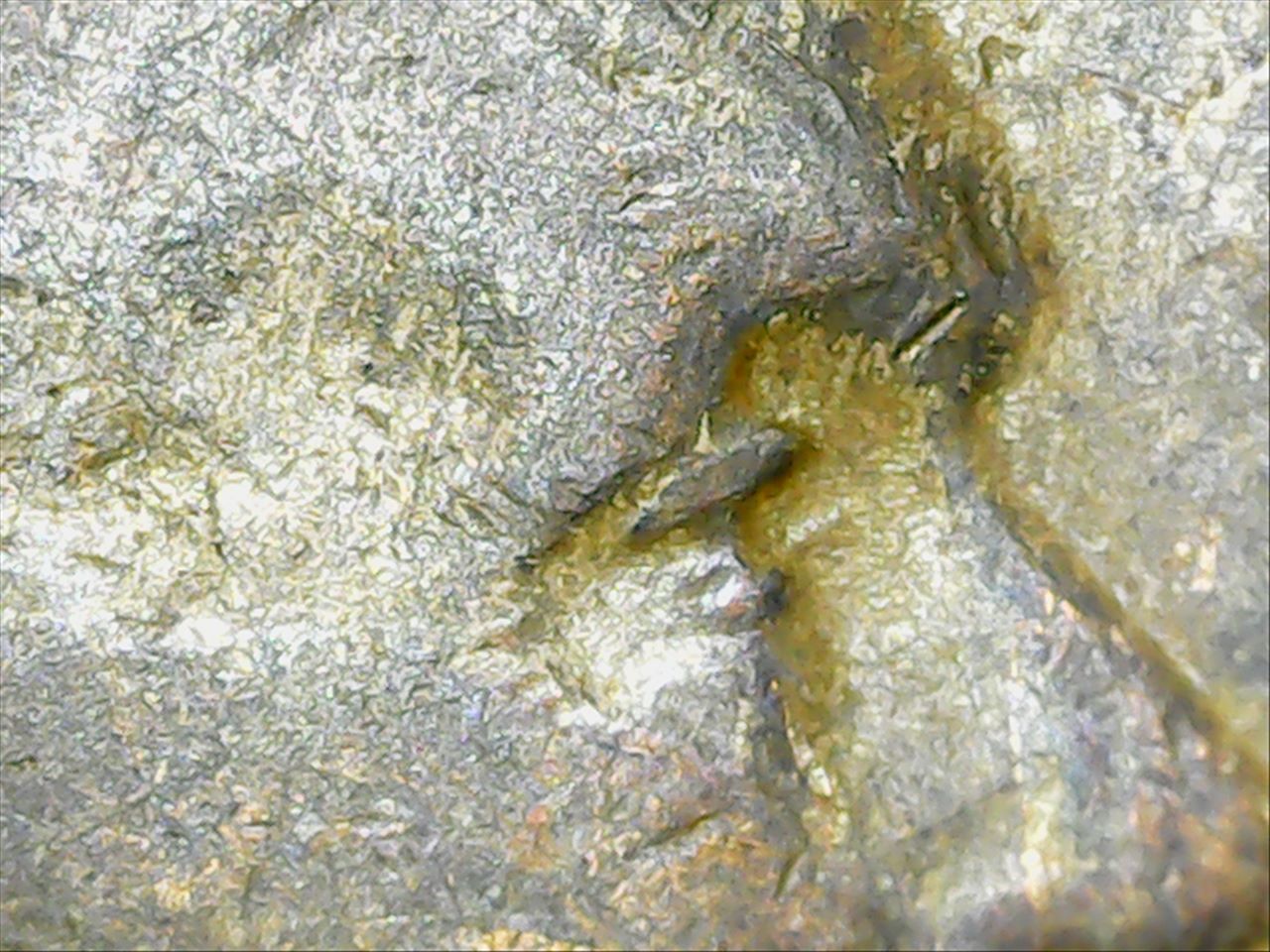 1936-Penny-WDDO-008?